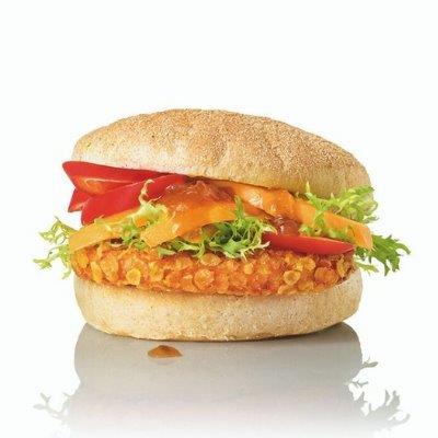 SALOMON CRUNCHY BURGER ΚΟΤΟΠΟΥΛΟ 90gr ΚΤΨ